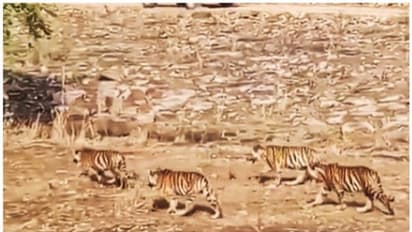 വരിതെറ്റാതെ അടിവെച്ചടിവെച്ചൊരു റൂട്ട് മാര്ച്ച്; അച്ചടക്കത്തിന് വേണം കൈയടിയെന്ന് നെറ്റിസണ്സ് !