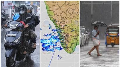 ಕೇರಳಕ್ಕೆ ಮಾನ್ಸೂನ್‌ ಎಂಟ್ರಿ, ಕೆಲವೇ ಸಮಯದಲ್ಲಿ ಕರ್ನಾಟಕ-ತಮಿಳುನಾಡಿಗೂ ಪ್ರವೇಶ!