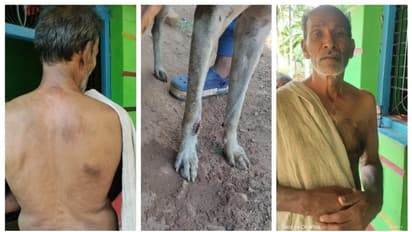 Davanagere: ಚಿರತೆ ದಾಳಿಯಿಂದ ಮಾಲೀಕ ಮತ್ತು ಮನೆ ನಾಯಿಯನ್ನು ಕಾಪಾಡಿದ ಹಸು!