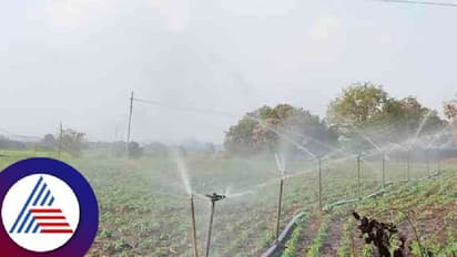 Karnataka Monsoon: ಕೈಕೊಟ್ಟಮಳೆ, ಸ್ಪಿಂಕ್ಲರ್‌ ಮೊರೆ ಹೋದ ನರಗುಂದ ರೈತರು!