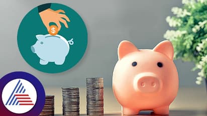 Personal Finance: ಉಳಿತಾಯ ಖಾತೆಯಲ್ಲಿ ಎಷ್ಟು ಹಣ ಇಡ್ಬಹುದು ಗೊತ್ತಾ?