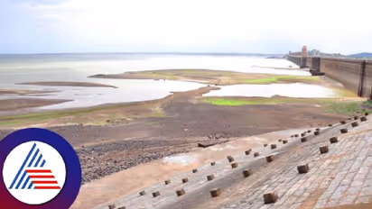Karnataka Dry Spell: Marine species, birds face existential threat as Tungabhadra reservoir water level dips