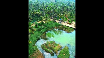 മലയാളി പൊളിയാണ്, പണിയെടുക്കാനും പഠിക്കാനുമായി ലോകമാകെ; 195 രാജ്യങ്ങളിൽ 182ലും മലയാളികൾ! കണക്കുമായി നോർക്ക