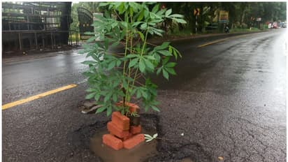 ഇനിയെങ്കിലും കണ്ണ് തുറക്കൂ..! അല്ലേൽ കുഴിയിൽ നട്ട കപ്പ പാകമാകും, നാട്ടാര് ചമ്മന്തി കൂട്ടി കഴിക്കേണ്ടിയും വരും