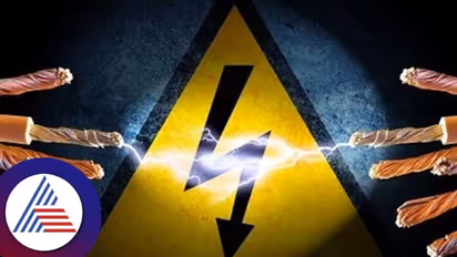 ಅಡಕೆ ಕೊಯ್ಯುವಾಗ ವಿದ್ಯುತ್ ಪ್ರವಹಿಸಿ ಯುವಕ ಸಾವು