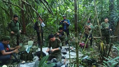 ಅಮೆಜಾನ್ ದಟ್ಟಾರಣ್ಯದಲ್ಲಿ ವಿಮಾನ ಪತನ, ನಾಪತ್ತೆಯಾಗಿದ್ದ ನಾಲ್ವರು ಮಕ್ಕಳು 40 ದಿನ ಬಳಿಕ ಜೀವಂತ ಪತ್ತೆ!