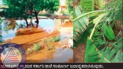 Chitradurga rains: ಚಳ್ಳಕೆರೆಯಲ್ಲಿ ಭಾರೀ ಮಳೆಗೆ ಬೆಳೆ ನಾಶ: ಲಕ್ಷಾಂತರ ರು. ನಷ್ಟ!