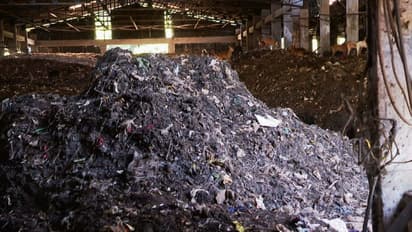 ഞെളിയന്‍ പറമ്പ് മാലിന്യ സംസ്‌കരണം; കോര്‍പ്പറേഷനെതിരെ നിലപാട് കടുപ്പിച്ച് കളക്ടര്‍