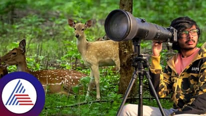ಅಪರೂಪದ ಅಲ್ಬಿನೋ ಜಿಂಕೆ ಪೋಟೋ ಸೆರೆ ಹಿಡಿದ ಎಂ.ಬಿ.ಪಾಟೀಲ್ ಮಗ ಧ್ರುವ ಪಾಟೀಲ್