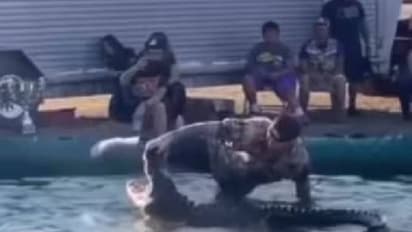 ചീങ്കണ്ണിയുടെ വായയുടെ അടുത്ത് കാൽവച്ച് അഭ്യാസപ്രകടനം, പിന്നെ സംഭവിച്ചത്...