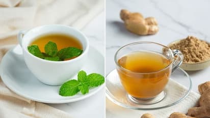 Discover 6 soothing teas for optimal gut health