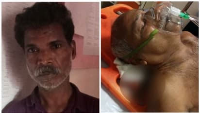 തടിവിൽപനയെച്ചൊല്ലി തർക്കം, തടികയറ്റാനെത്തിയ ലോറിയുടെ ഡ്രൈവറെ കുത്തിക്കൊല്ലാൻ ശ്രമം; പ്രതി പിടിയിൽ