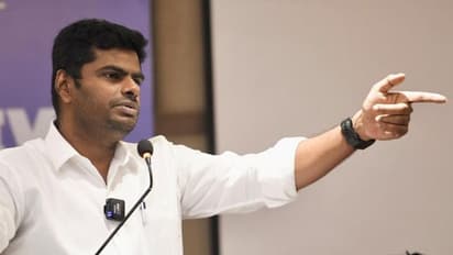 செந்தில் பாலாஜியின் நீக்கத்தை ஆளுநர் வாபஸ் பெறவில்லை - அண்ணாமலை விளக்கம்