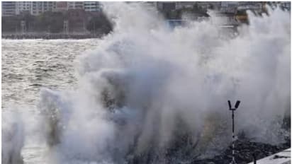 'ബിപോർജോയും' കാലവർഷവും, ന്യുന മർദ്ദം ശക്തി പ്രാപിച്ചു; കേരളത്തിൽ മഴ കനത്തേക്കും, ഇന്ന് വിവിധ ജില്ലകളിൽ ജാഗ്രത