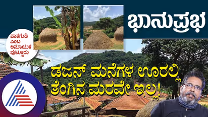 Clean Village: ಡಜನ್ ಮನೆಗಳ ಈ ಊರಲ್ಲಿ ತೆಂಗಿನ ಮರವೇ ಇಲ್ಲ!