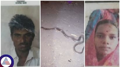 ಮನೆಯಲ್ಲಿ ಮಲಗಿದ್ದ ದಂಪತಿಗೆ ಕಚ್ಚಿದ ಹಾವು: ಪತಿ ಸಾವು, ಪತ್ನಿ ಸ್ಥಿತಿ ಗಂಭೀರ