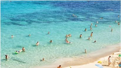 'ബീച്ചിൽ വന്നോളൂ, ന​ഗ്നരായി വെയിൽ കാഞ്ഞോളൂ, പക്ഷേ ലൈം​ഗിക ബന്ധത്തിലേർപ്പെടരുത്'; വിലക്കുമായി യൂറോപ്യൻ രാജ്യം