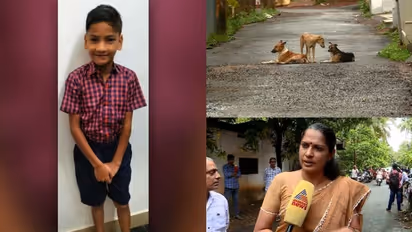 'അക്രമകാരികളായ തെരുവ് നായകളെ കൊല്ലാൻ അനുമതി വേണം'സുപ്രീം കോടതിയെ സമീപിക്കുമെന്ന് കണ്ണൂർ ജില്ല പഞ്ചായത്ത്