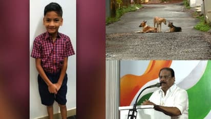  'തെരുവുനായ ശല്യം നിയന്ത്രിക്കുന്നതില്‍ കെടുകാര്യസ്ഥത,നിഹാല്‍  മരിച്ചതിന് പിന്നില്‍ സര്‍ക്കാരിന്‍റെ അനാസ്ഥ'