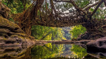 Why you must plan a trip to Mawlynnong, God's Own Garden