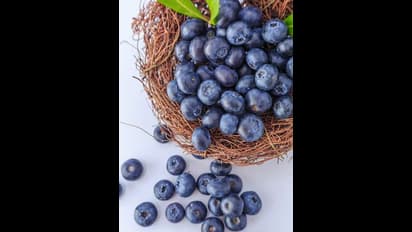 Immunity to Digestion: 5 incredible benefits of eating Jamuns