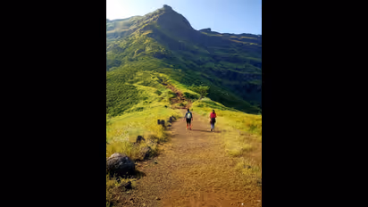 The mountains are calling and everyone is going, and damaging nature