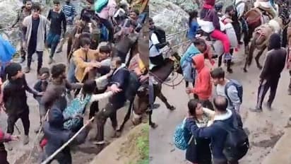 ಕೇದಾರನಾಥ ಯಾತ್ರಿಕರ ಮೇಲೆ ಕುದುರೆ ಸೇವೆ ಸಿಬ್ಬಂದಿಗಳಿಂದಲೇ ಹಲ್ಲೆ, ವಿಡಿಯೋ ವೈರಲ್!
