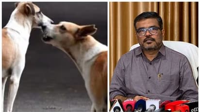 അക്രമകാരികളായ നായ്ക്കളെ കൊല്ലാൻ വഴി തേടി സർക്കാർ; ഉത്തരവിറക്കുന്നതിൽ നിയമ സാധുത പരിശോധിക്കുമെന്ന് എം ബി രാജേഷ്