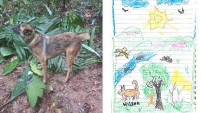 എവിടെയാണ് വിൽസൺ, ആമസോണിലെ ഹീറോ, രക്ഷാദൗത്യത്തിൽ മുന്നിലുണ്ടായിരുന്ന നായയെ കാണാനില്ല, തിരച്ചിൽ