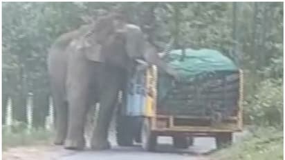 പടയപ്പ വീണ്ടും! 'പിള്ളയാറപ്പാ ഒന്നും സെഞ്ചിടാതെ' എന്ന് അപേക്ഷിച്ച് ട്രാക്ടർ ഡ്രൈവർ, നശിപ്പിക്കാതെ മടക്കം