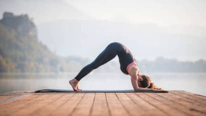 International Day of Yoga 2023 :  അന്താരാഷ്ട്ര യോ​ഗ ദിനം ; ദിവസവും ചെയ്യാം ഈ മൂന്ന് യോഗാസനങ്ങൾ