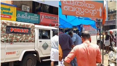 ഒന്നും രണ്ടുമല്ല, കുന്നംകുളം നഗരത്തിൽ വിഷപാമ്പുകൾ! തിങ്ങി കൂടി ജനം, പാഞ്ഞെത്തി ഫോറസ്റ്റ് ഉദ്യോഗസ്ഥർ