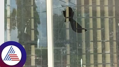 ಬಿಜೆಪಿ ಪ್ರತಿಭಟನೆ:  ಕೆಇಬಿ ಕಟ್ಟಡಕ್ಕೆ ಕಲ್ಲು ತೂರಾಟ: ಶಾಸಕ ವಶ​ಕ್ಕೆ