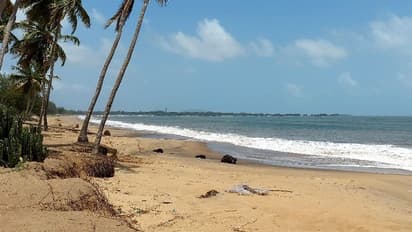 ಉತ್ತರಕನ್ನಡ: ಚಂಡಮಾರುತ ಎಫೆಕ್ಟ್, ಸಮುದ್ರತೀರದಲ್ಲಿ ಕಡಲ್ಕೊರೆತ, ಆತಂಕದಲ್ಲಿ ಜನರು