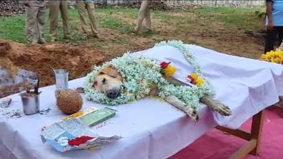 ಉತ್ತರಕನ್ನಡ: ಬಾಂಬ್ ಪತ್ತೆದಾರಳಾಗಿ ಕಾರ್ಯ ನಿರ್ವಹಿಸಿದ್ದ ಪೋಲಿಸ್ ಶ್ವಾನ ಸಾವು