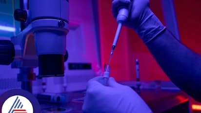 ಮಗು ಆಗೋಕೆ ಅಂಡಾಣು, ಪುರುಷರ ವೀರ್ಯ ಬೇಕಿಲ್ಲ, ಸಂಶೋಧಕರ ತಂಡದಿಂದ ಅಚ್ಚರಿಯ ಮಾಹಿತಿ