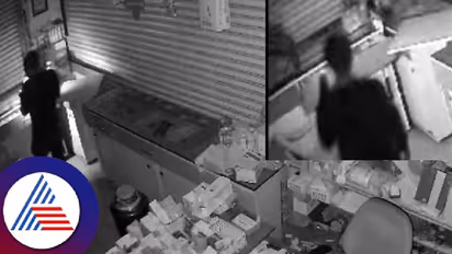 ಮಂಕಿ ಕ್ಯಾಪ್ ಧರಿಸಿ ಮೆಡಿಕಲ್ ಶಾಪ್ ಕಳ್ಳತನ: ಖದೀಮರ ಕಳ್ಳಾಟ ಸಿಸಿಟಿವಿಯಲ್ಲಿ ಸೆರೆ! 