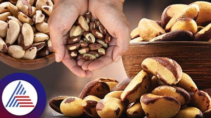 Healthy Food : ಥೈರಾಯ್ಡ್ ರೋಗಿಗಳಿಗೆ  ಬೆಸ್ಟ್ ಫುಡ್ ಇದು..