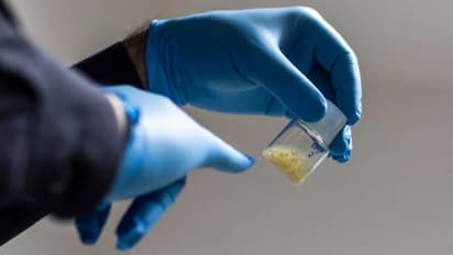 ബീജവും അണ്ഡവുമില്ലാതെ കുഞ്ഞ് ജനിക്കുമോ? ; നിര്ണായകമായ കണ്ടെത്തലുമായി ഗവേഷകര്