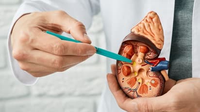 World Kidney Cancer Day 2023 :  കിഡ്‌നി കാൻസർ സാധ്യത കുറയ്ക്കാൻ അഞ്ച് കാര്യങ്ങൾ ശ്രദ്ധിക്കാം 