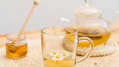 ಡಿಟಾಕ್ಸ್‌ ಪೇಯ:  ಜೇನುತುಪ್ಪ, ನಿಂಬೆ ರಸ, ಬಿಸಿನೀರಿನಿಂದೇನು ಪ್ರಯೋಜನ?