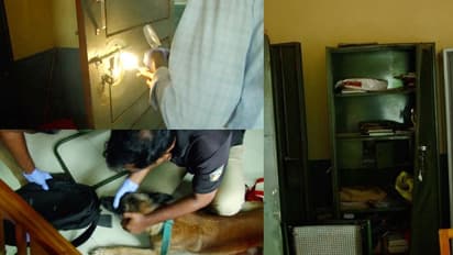 കുട്ടികൾ പണമിട്ട സാന്ത്വന പെട്ടി പോലും വിട്ടില്ല; കാസർകോട് സ്കൂളുകളിൽ മോഷണം, സിസി കാമറകളുടെ ഹാർഡ് ഡിസ്കും പോയി