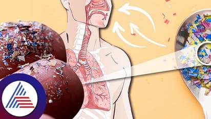 ನೀವು ಉಸಿರಾಡಿದಾಗ ಒಳ ಸೇರುವ ಮೈಕ್ರೋಪ್ಲಾಸ್ಟಿಕ್ ಸಂಗ್ರಹವಾಗೋದೆಲ್ಲಿ?