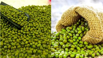 ചെറുപയർ വില ഉയർന്നേക്കും; ഭക്ഷ്യ വിലക്കയറ്റം ഉണ്ടായേക്കാം കാരണം ഇതാണ്