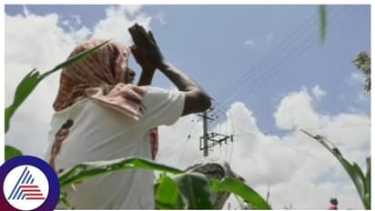 ಬಾಗಲಕೋಟೆ: ಬಾರದ ಮುಂಗಾರು ಮಳೆ, ಆಕಾಶದತ್ತ ಅನ್ನದಾತರ ಚಿತ್ತ..!