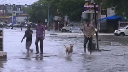 ബിപോർജോയ് ചുഴലിക്കാറ്റ് തീവ്ര ന്യൂനമർദ്ദമായി രാജസ്ഥാനിൽ; ഗുജറാത്തിൽ കാറ്റും കോളും ഒഴിയുന്നില്ല