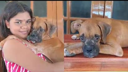 ഓമനിച്ച് കൊതി തീരും മുന്‍പ് കണ്‍മുന്‍പില്‍ നിന്ന് കാണാതായി, ജിന്നിയെ തെരഞ്ഞ് പിടിച്ച് പൊലീസ്; സനിക ഹാപ്പി