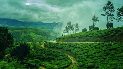 Munnar to Kovalam: Explore the 6 enchanting places of Kerala