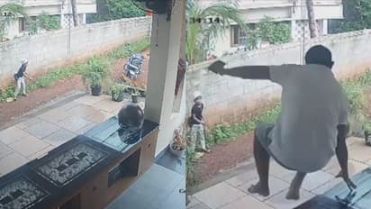 പിന്നില്‍ നിന്നും തെരുവുനായ പാഞ്ഞെത്തി; വരാന്ത ചാടി നായയെ തുരത്തി, ബാലന് രക്ഷകനായി യുവാവ്