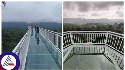 Madikeri Glass Skywalk Bridge: ಕರ್ನಾಟಕದ ಮೊದಲ ಗ್ಲಾಸ್ ಸ್ಕೈ ವಾಕ್ ಬ್ರಿಡ್ಜ್ ಆರಂಭ, ಪ್ರವಾಸಿಗರ ದಂಡು